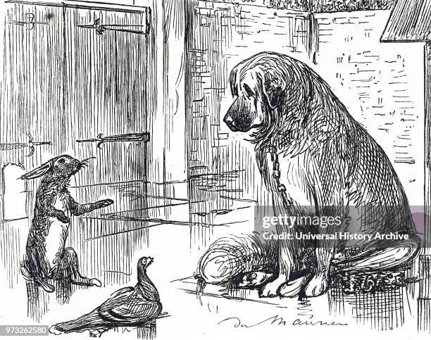 Neglected Example Cartoon 107 Neglect Cartoon Stock Photos, High-Res Pictures, and Images - Getty ...