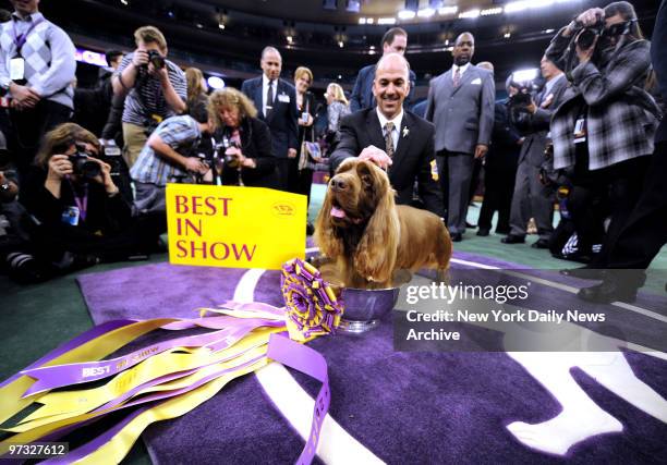 Sussex spaniel "Stump", with trainer Scott Sommer, wins "Best in Show" 2009 Westminster Dog Show at Madison Square Garden.