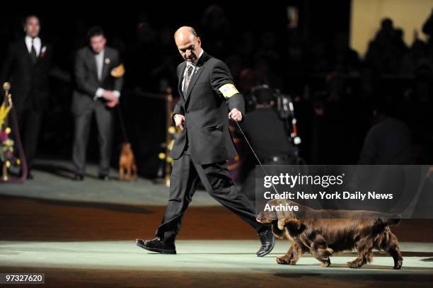 Sussex spaniel "Stump", with trainer Scott Sommer, wins "Best in Show" 2009 Westminster Dog Show at Madison Square Garden.