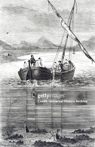 Engraving depicting pearl fishers, in British Ceylon, Sri Lanka. Dated 19th century.