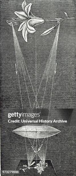 Engraving depicting a double convex lens, showing refraction of light and the conjugate focus . Dated 19th century.