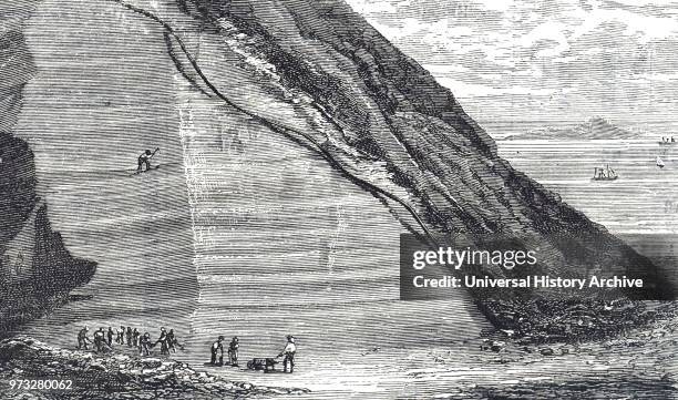 Engraving depicting the digging out of guano in Peru. Guano is the accumulated excrement of seabirds and bats, which is a highly effective fertiliser...