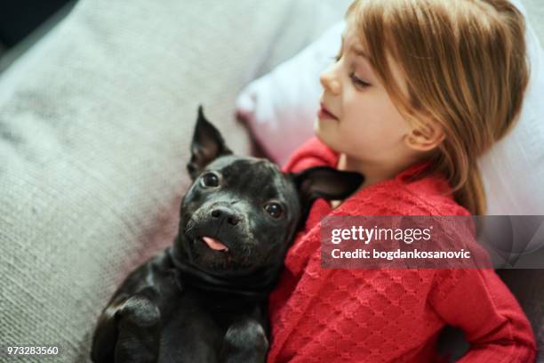 little girl and black puppy - staffordshire bull terrier stock pictures, royalty-free photos & images