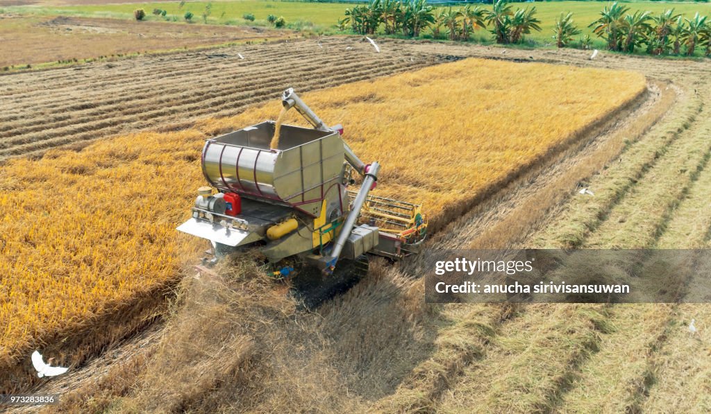 Machine For Rice Fieldd Aerial Top View Harvester Machine Working In Rice Fields Asia Thailand ...