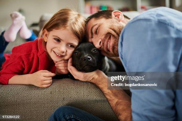 father with child and black puppy - staffordshire bull terrier stock pictures, royalty-free photos & images