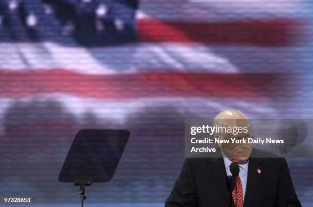 Vice President Dick Cheney speaks on the third day of the Republican National Convention at Madison Square Garden.
