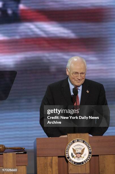 Vice President Dick Cheney speaks on the third day of the Republican National Convention at Madison Square Garden.