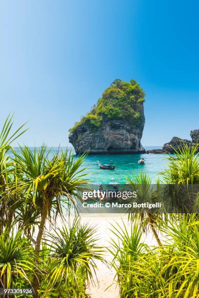 longtail boats moored in idyllic beach, thailand - cultura tailandesa fotografías e imágenes de stock