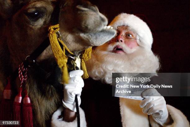 We're still in the dog days of summer, but a camel is on the way, and Santa Claus, too. They got together at the Radio City Music Hall to let...