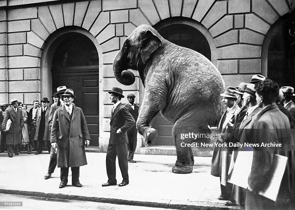 Victory, the G.O.P. elephant, stands in front of Tammany Hal