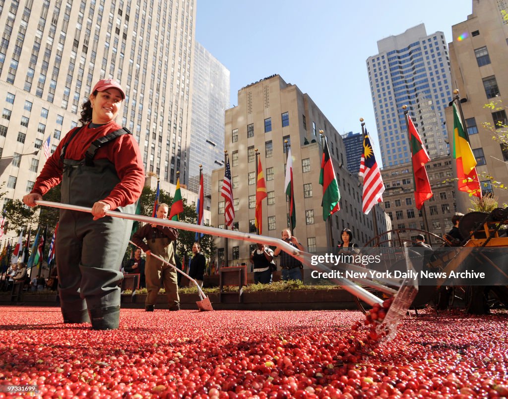 Ocean Spray set up a cranberry bog in Rockefeller Center for