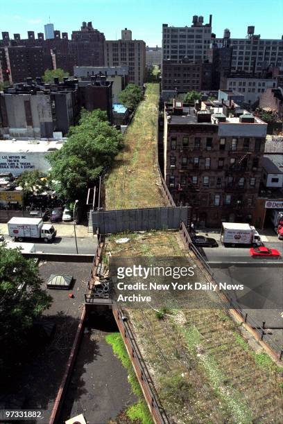 The 1.5-mile High Line, an abandoned elevated spur built 70 years ago to carry freight to Manhattan's West Side, now covered with high grass,...