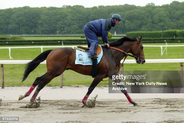 Ten Most Wanted, with exercise rider Karl Keegan in the saddle, gallops around the track at Belmont Park in preparation for Saturday's running of the...