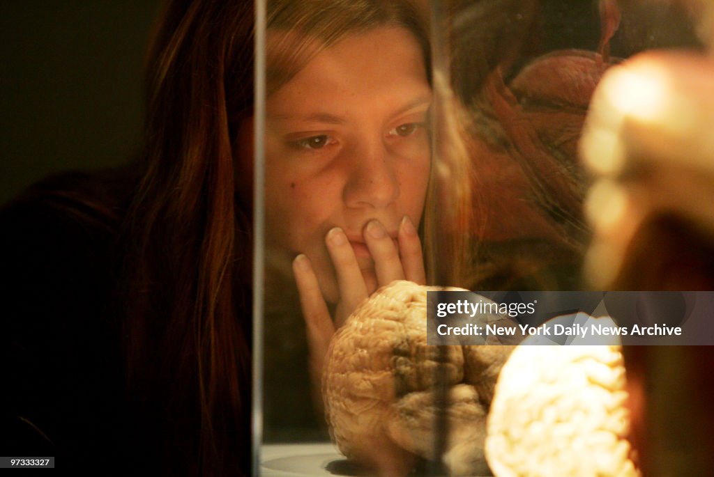 Visitor contemplates a preserved brain on the opening day of