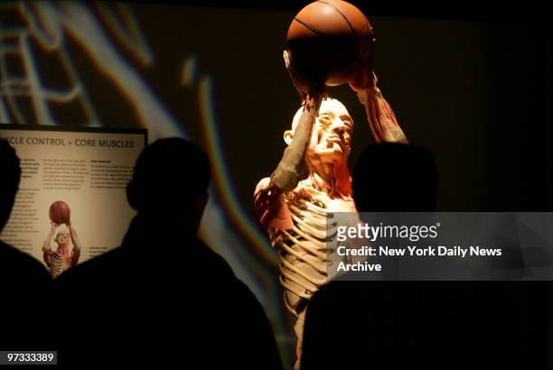 Visitors gather around a body posed as though it's playing basketball on the opening day of "Bodies...The Exhibition" in the new Exhibition Centre at...
