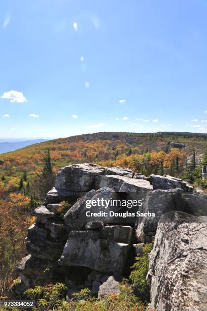 rock cliffs at bear rocks park, west virginia, usa - monongahela national forest stock pictures, royalty-free photos & images