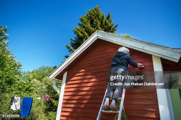 woman painting cottage wall - wood bucket stock pictures, royalty-free photos & images