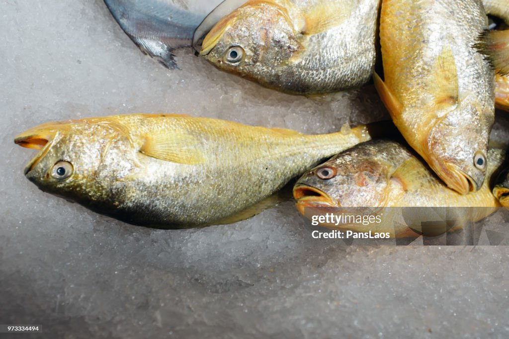 Seafood fresh fish on ice