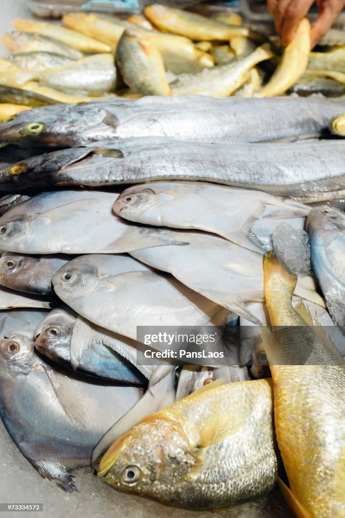 Seafood fresh fish on ice
