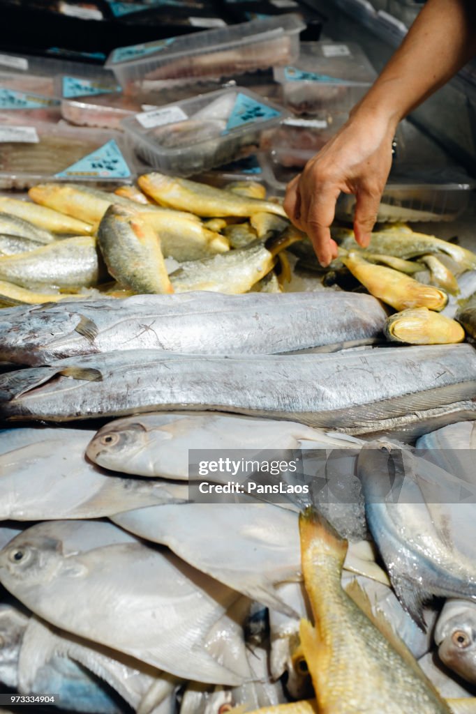 Seafood fresh fish on ice