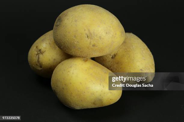 uncooked yukon gold potatoes (solanum tuberosum) - yukon gold stock pictures, royalty-free photos & images