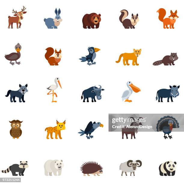 ilustraciones, imágenes clip art, dibujos animados e iconos de stock de animales del bosque bosque - lince