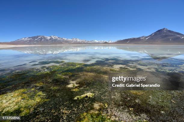 laguna blanca, bolivia - bolivian andes stock-fotos und bilder