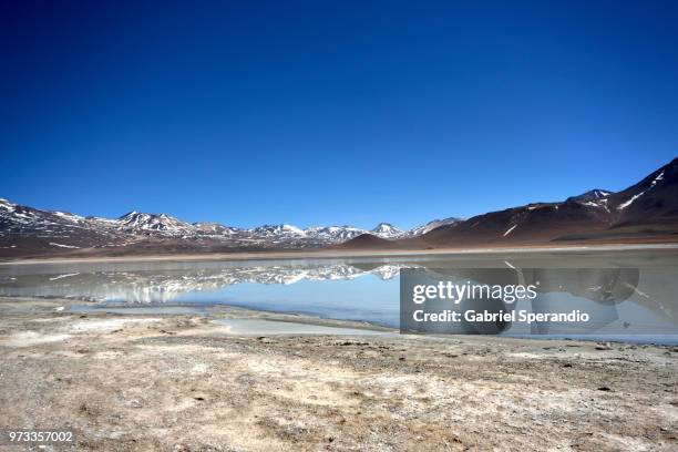 laguna blanca, bolivia - bolivian andes stock-fotos und bilder