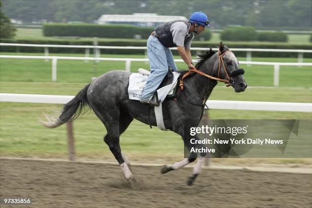 Watchmon runs the track during a morning workout at Belmont Park in Elmont, L.I., on the day before the 137th running of the Belmont Stakes.