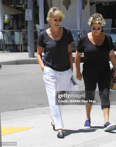 Sharon Stone is seen on June 12, 2018 in Los Angeles, CA.