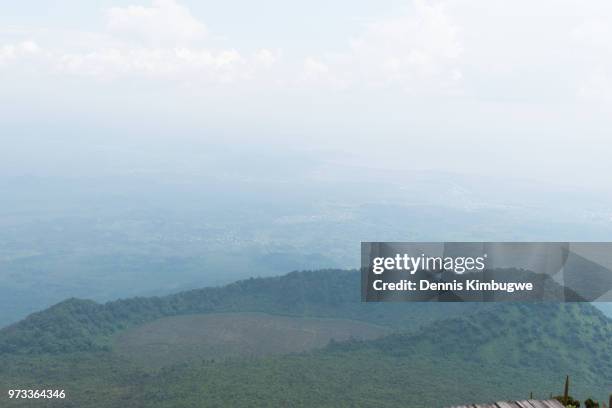 vegetation on mount nyiragongo. - giant groundsel stock pictures, royalty-free photos & images