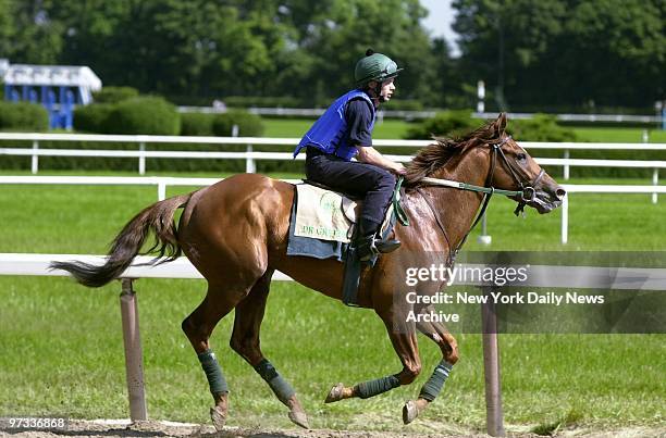 Dr. Greenfield trots around the track at Belmont Park in preperation for Saturday's Belmont Stakes.