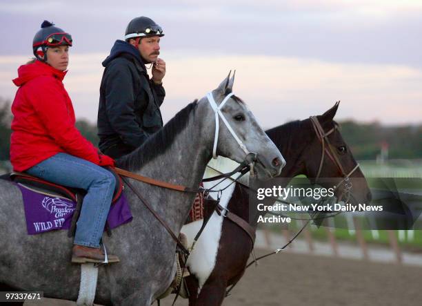 Wild Fit is on the track for an early workout at Belmont Park in preparation for the 2005 Alberto V05 Breeders' Cup Juvenile Fillies, one of eight...