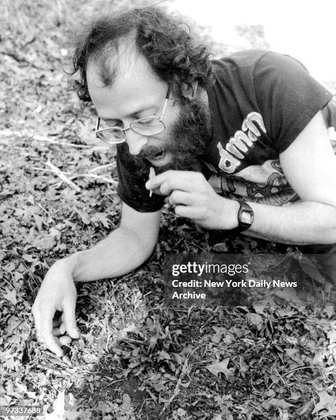 Wildman Steve Brill samples a wild onion in Goose Pond Park in Jamaica, Queens.