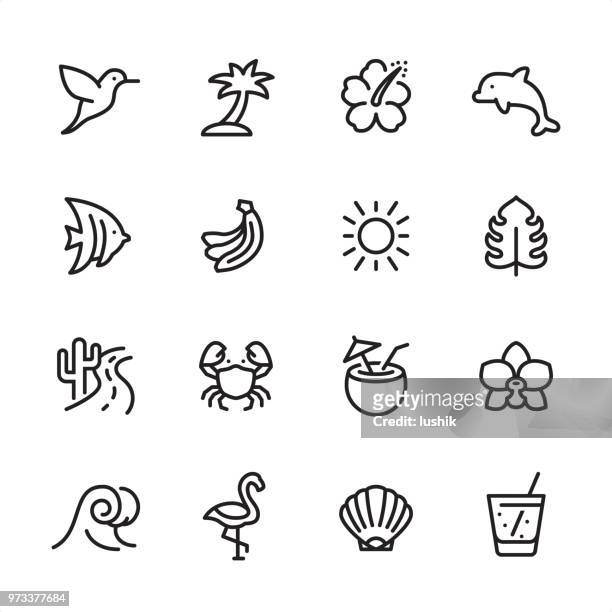 tropical summer - outline icon set - oyster pearl stock illustrations