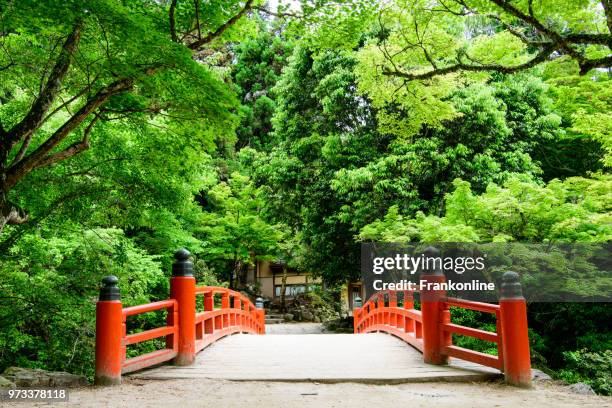 brücke zum momijidani park, insel miyajima, japan - miyajima stock-fotos und bilder