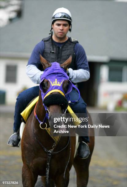 Double Galore, ridden by exercise rider Martin de Rubin, works out on the track at Belmont Park in Elmont, N.Y. The 138th running of the Belmont...