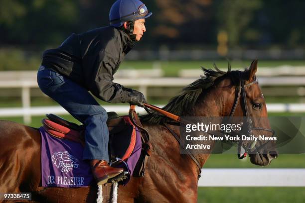 Dr. Pleasure runs the track at Belmont Park in preparation for the 2005 Bessemer Trust Breeders' Cup Juvenile, one of eight races in the 22nd...