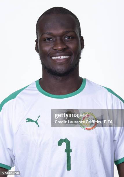 Moussa Sow of Senegal poses for a portrait during the official FIFA World Cup 2018 portrait session at the Team Hotel on June 13, 2018 in Kaluga,...