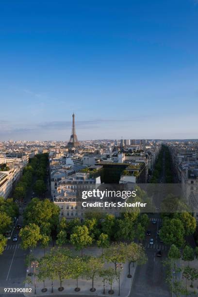 the roofs of paris and the eiifel tower - eric schaeffer stock pictures, royalty-free photos & images