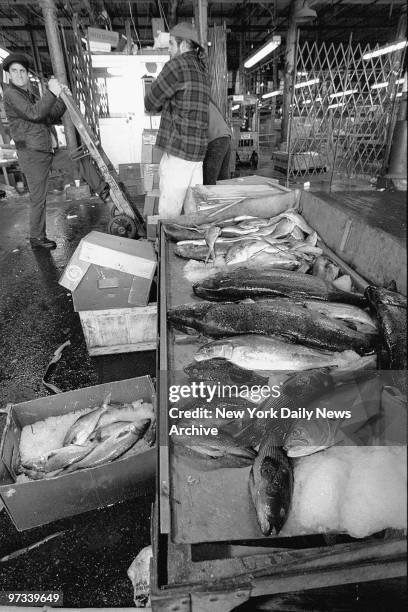 Fish Load Fish Loads Photos and Premium High Res Pictures - Getty Images