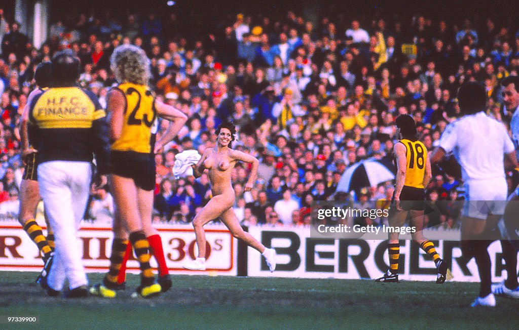 VFL 1988 Grand Final - Hawks v Demons