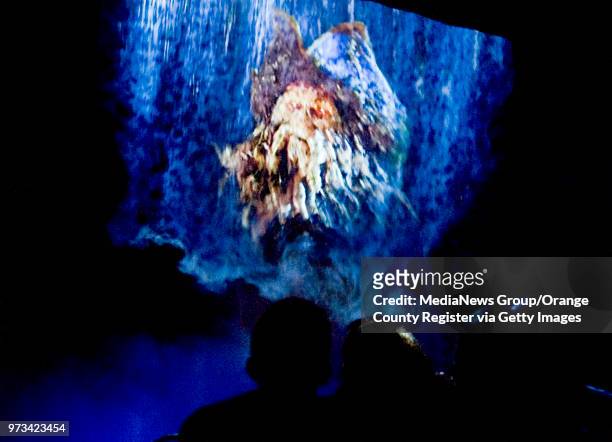 Davey Jones, from the movie "Pirates of the Caribbean: Dead Man's Chest" appears in front of riders on the Pirates of the Caribbean ride at...
