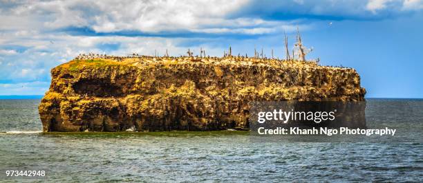 pokeshaw rock in new brunswick - bathurst new brunswick stock pictures, royalty-free photos & images