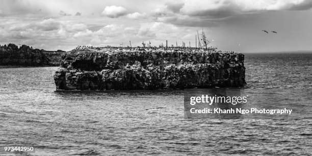 pokeshaw rock in new brunswick - bathurst new brunswick stock pictures, royalty-free photos & images