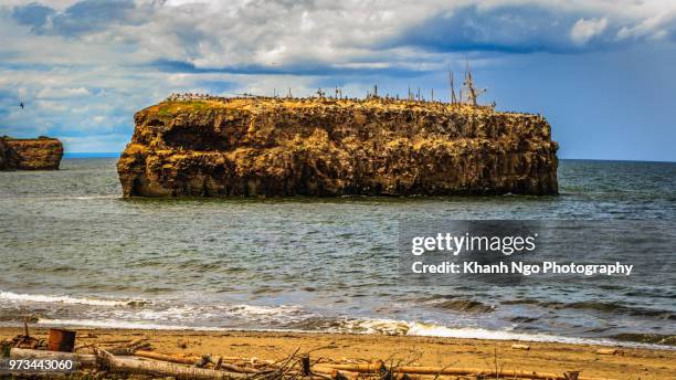 pokeshaw rock in new brunswick - bathurst new brunswick stock pictures, royalty-free photos & images