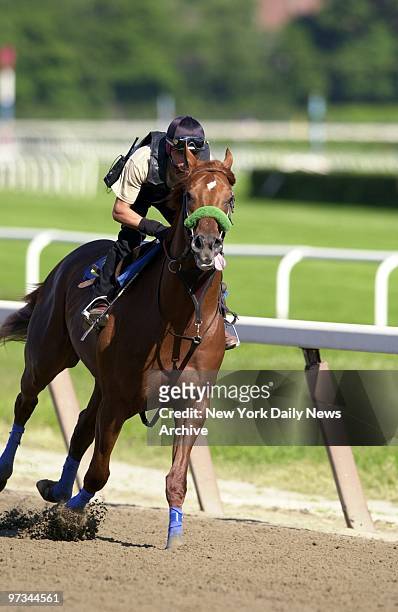 Point Given gallops around the track at Belmont Park in preperation for Saturday's $1 million Belmont Stakes. Point Given has been named the 8-5...