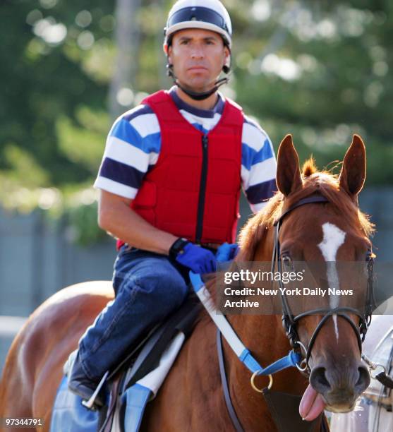 Preakness winner Curlin looks a bit tuckered as exercise rider Carmen Rojas rides him off the track at Belmont Park after a morning workout in...