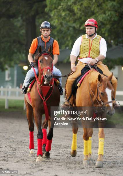 Preakness winner Afleet Alex , with exercise rider Salomon Diego up, walks the track with trainer Tim Ritchey during a morning workout at Belmont...