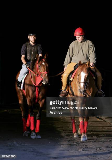 Preakness winner Afleet Alex with exercise rider Salomon Diego up walks onto the track with trainer Tim Ritchey for a morning workout at Belmont Park...